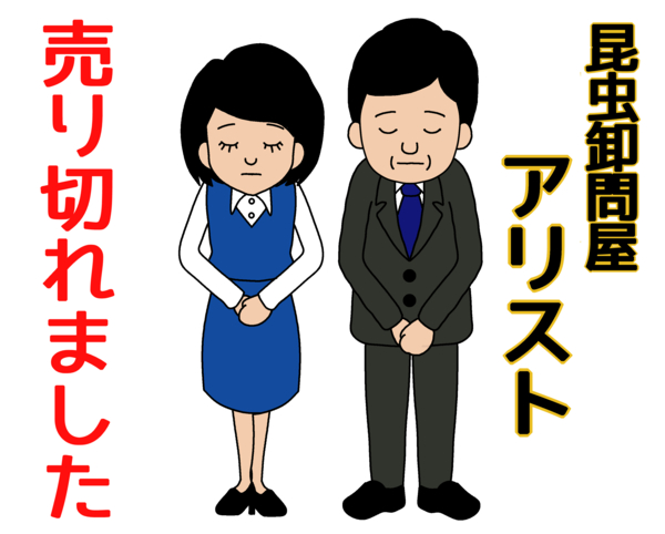 日本産 売り切れました