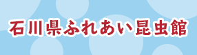 石川県ふれあい昆虫館