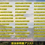 インドネシアのクワガタ/カブトムシ6月16日通関/入荷しております。昆虫販売アリスト