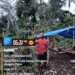 インドネシア便/11月27日通関/写真撮影の個体の出品は完了しました。昆虫ショップアリスト