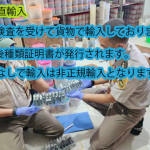 正規輸入とは現地の検疫で確認後種類証明書が発行されて初めて正規輸入となります。昆虫販売アリスト