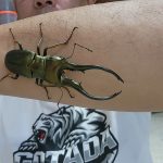 昆虫販売アリスト